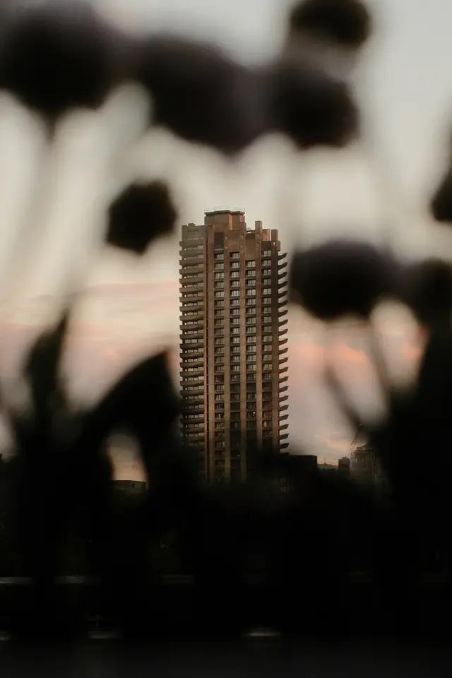 A Barbican tower at sunset seen through a soft blur of out-of-focus flowers in the foreground