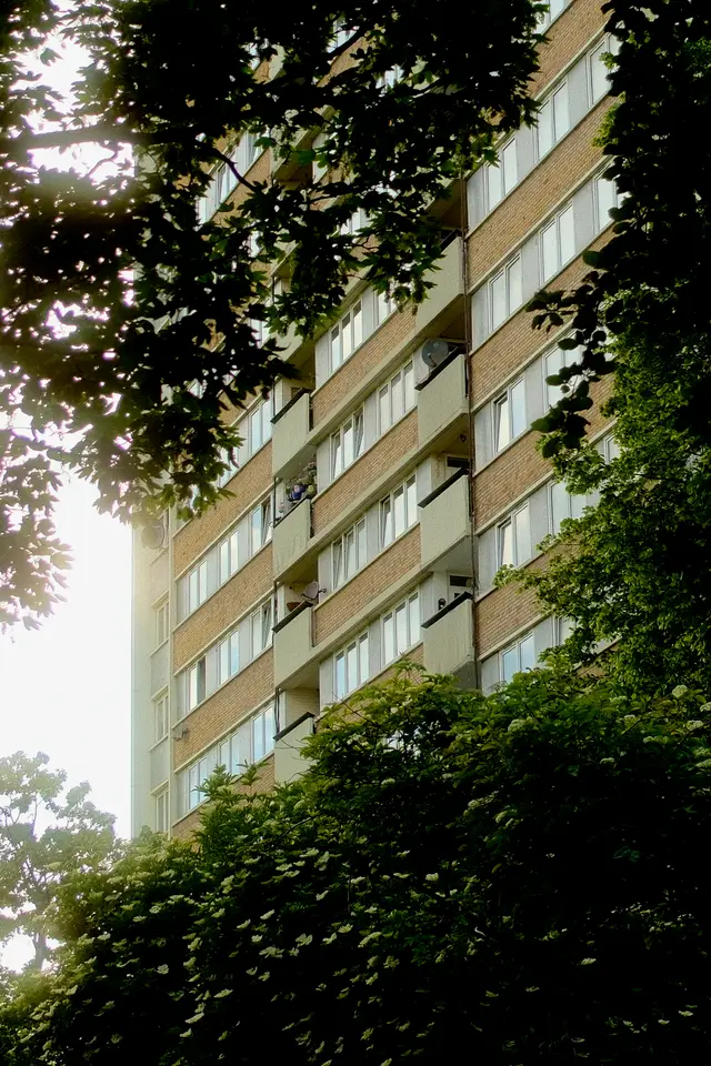 A tall brick residential block framed by tree leaves, sunlight breaking through the foliage